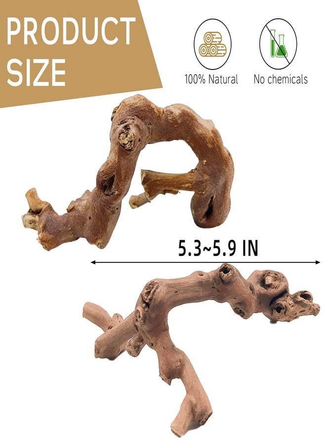 كاثسون مجموعة كاثرون من قطعتين من أغصان التسلق الخشبية للهامستر، ألعاب مضغ وتسلق خشبية طبيعية للهامستر السوري، ألعاب تمرين للفئران، إكسسوارات ديكور لمساكن الحيوانات الصغيرة للحيوانات الأليفة القزمة، والجرذان، والفئران (5.9 بوصة) - Image 4